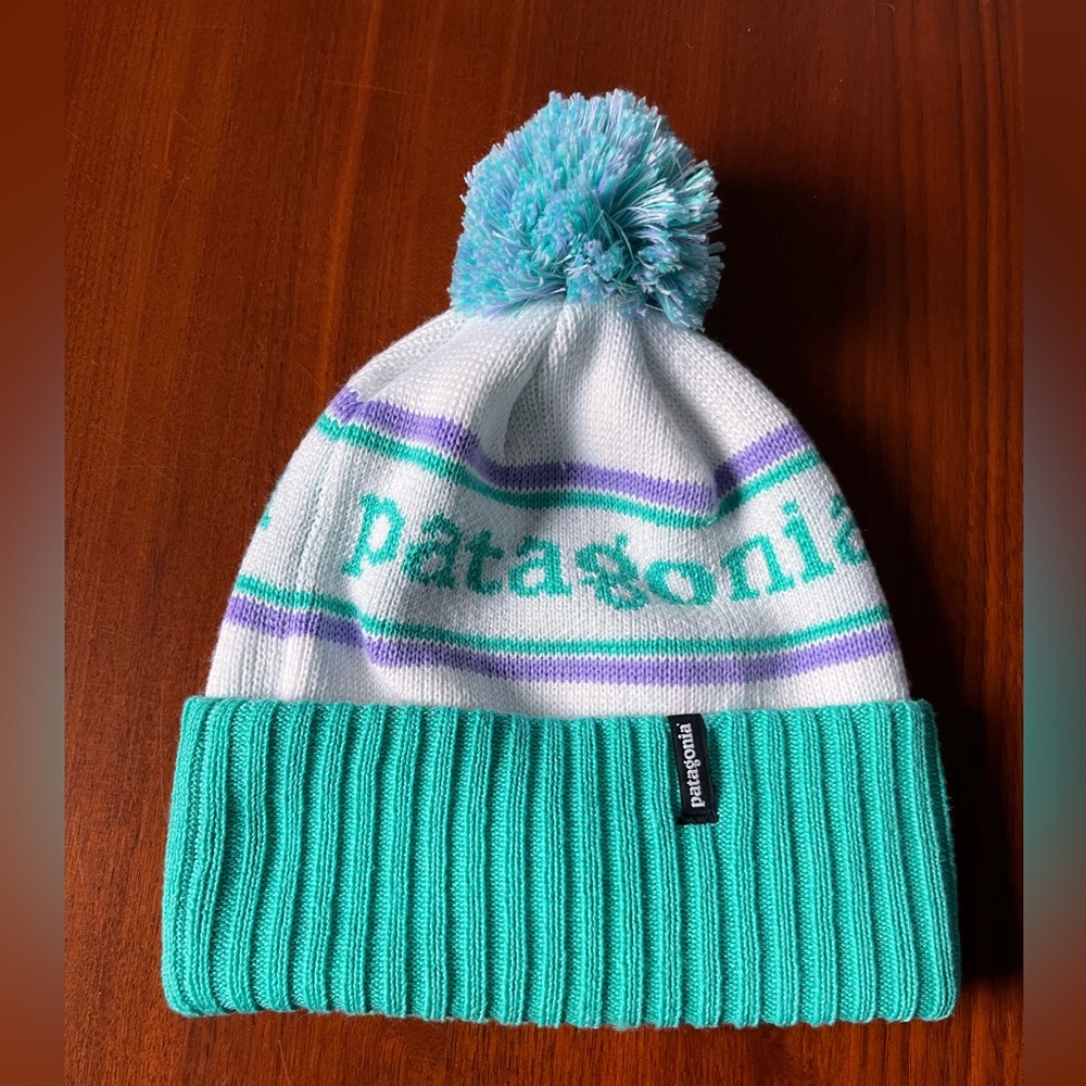 Brand new Patagonia hat
